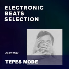 Tepes Mode - Misfits (Electronic Beats Selection - EBS Radio Cluj)