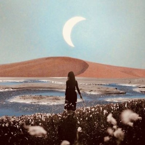 oasis