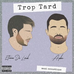 Aversion (version acoustique)