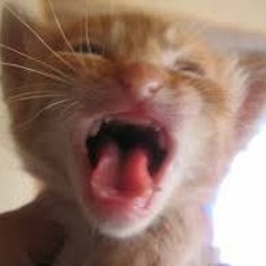 Anger (Winter Is Here)