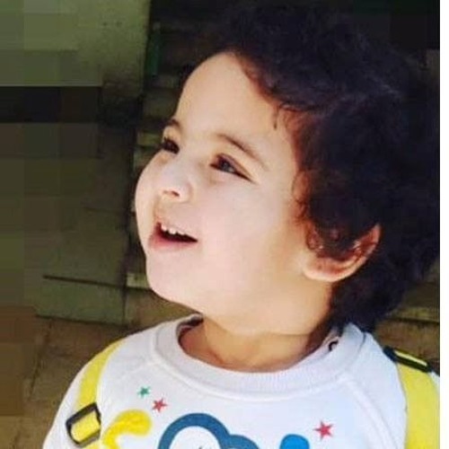 قصيدة ( نم يا صغيري ) هاشم الرفاعي