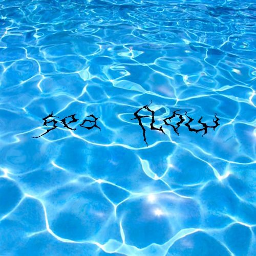 sea flow