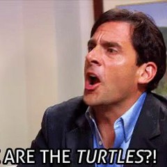 WHERE ARE THE TURTLES?!