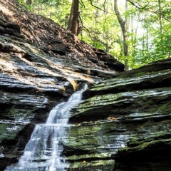 Druh AM - Tou Bem(Remix)