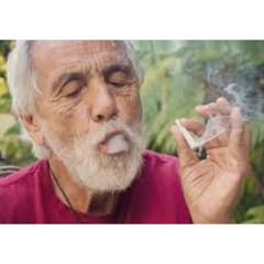 Dave's Not Here-Tommy Chong Is