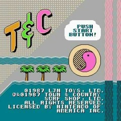 T&C Surf - Round Theme