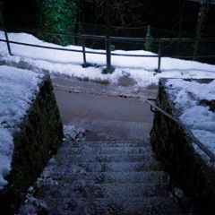 Winter(ft. stevie corn & vio)