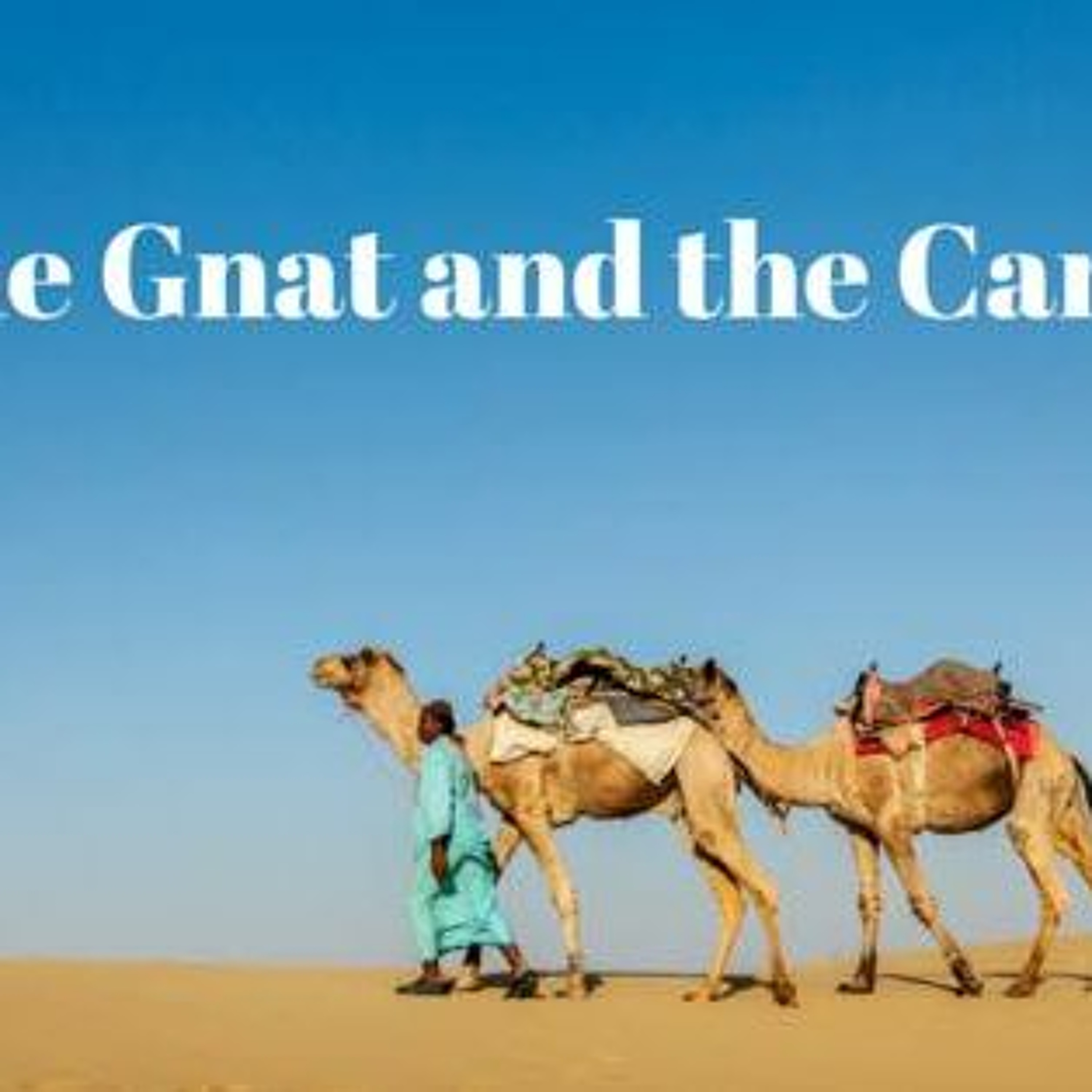 "The Gnat and the Camel" (2-24-19) episode artwork