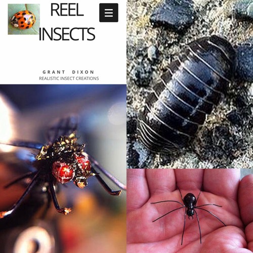 31 Reel Insects Grant Dixon