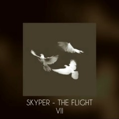 Skyper - The Flight VII