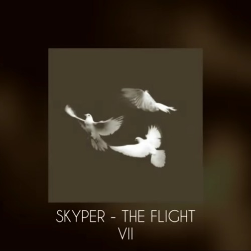Skyper - The Flight VII