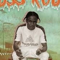 Prince Swanny-  Buss Route