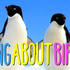 AUSTRALIAN SONG ABOUT BIRDS