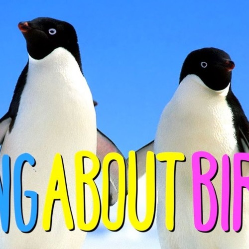 AUSTRALIAN SONG ABOUT BIRDS