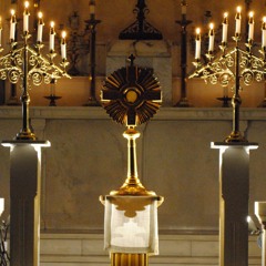 BROTHER | The Brilliance (House Cover)