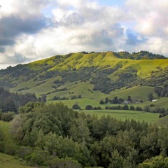 Live from Spirit House