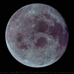 LIL $PLASHY x LIKE THE MOON (prod. MandellHarrison)