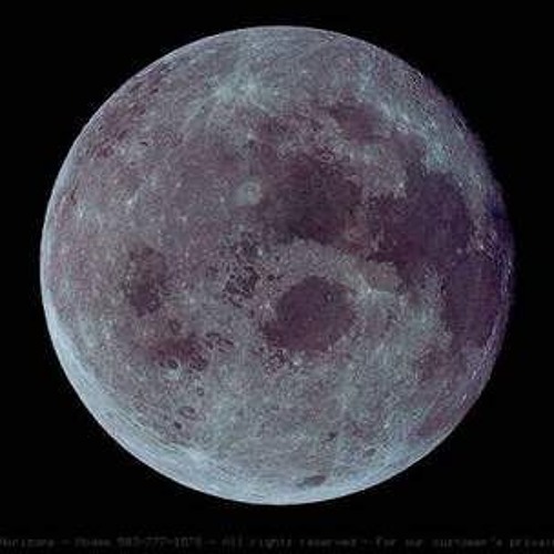 LIL $PLASHY x LIKE THE MOON (prod. MandellHarrison)