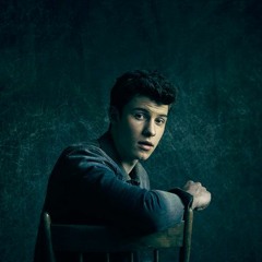 Shawn Mendes - Because I Had You (Remix)