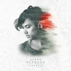 Momentum 「モメントゥン」