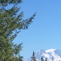 Original: Unequal Distance