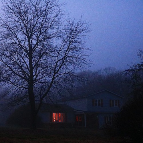 melancholy howl