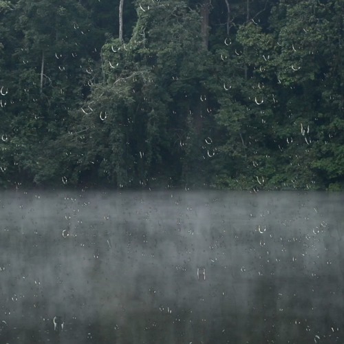 Relaxing Thunderstorm Sounds Over a Misty Lake for Sleeping, Stress Relief, Meditation or Study