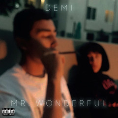 Mr.Wonderful