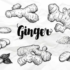 Ginger Garden_ Susi Qu #19