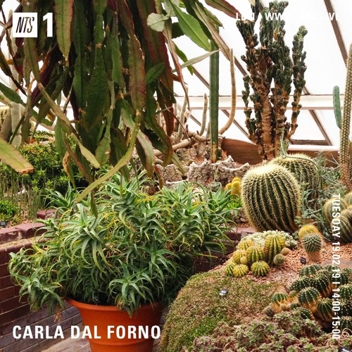 Stream NTS Radio - February 2019 by Carla dal Forno | Listen online for  free on SoundCloud
