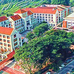 【百年校慶】我的中華