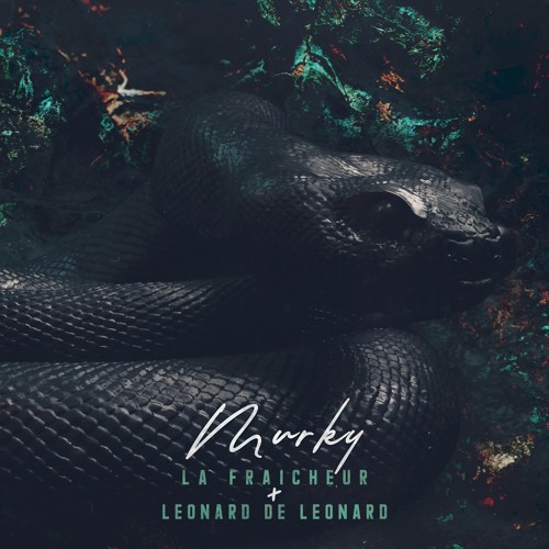 Premiere : La Fraicheur & Leonard De Leonard - Murky [Leonizer]