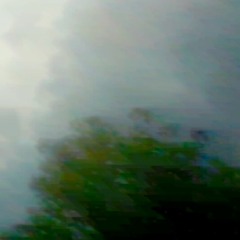 new day