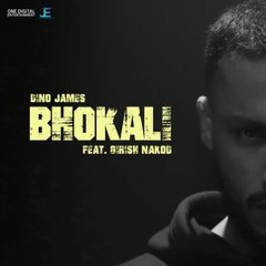 Dino James - Bhokali