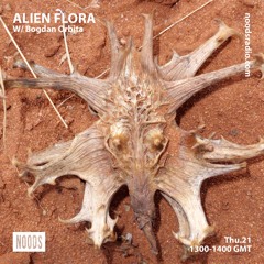 Alien Flora w/ Bogdan Orbita ─ Noods Radio (21.02.19)