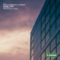 Nicolas Benedetti - Rising Up [3rd Avenue]