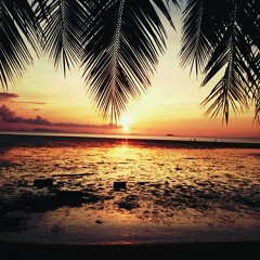 PAIN - Du fehlst ♡ ♡