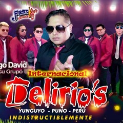 Grupo Deliros Delirios Pienso En Ti Primicia 2019 (Audo Oficial)