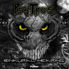 Binaural Hearing (Original Mix)