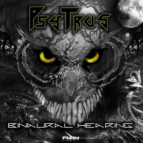Binaural Hearing (Original Mix)
