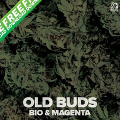Bio & Magenta - Old Buds [Sound Solution Premier] [Free Download]
