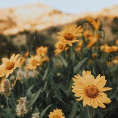 đúng người đúng thời điểm -  thanh hưng - luxofons mix