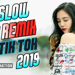 DJ TIK TOK TERBARU 2019||INDO REMIX TERPOPULER 2019