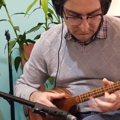 بداهه نوازی سه تار در شور