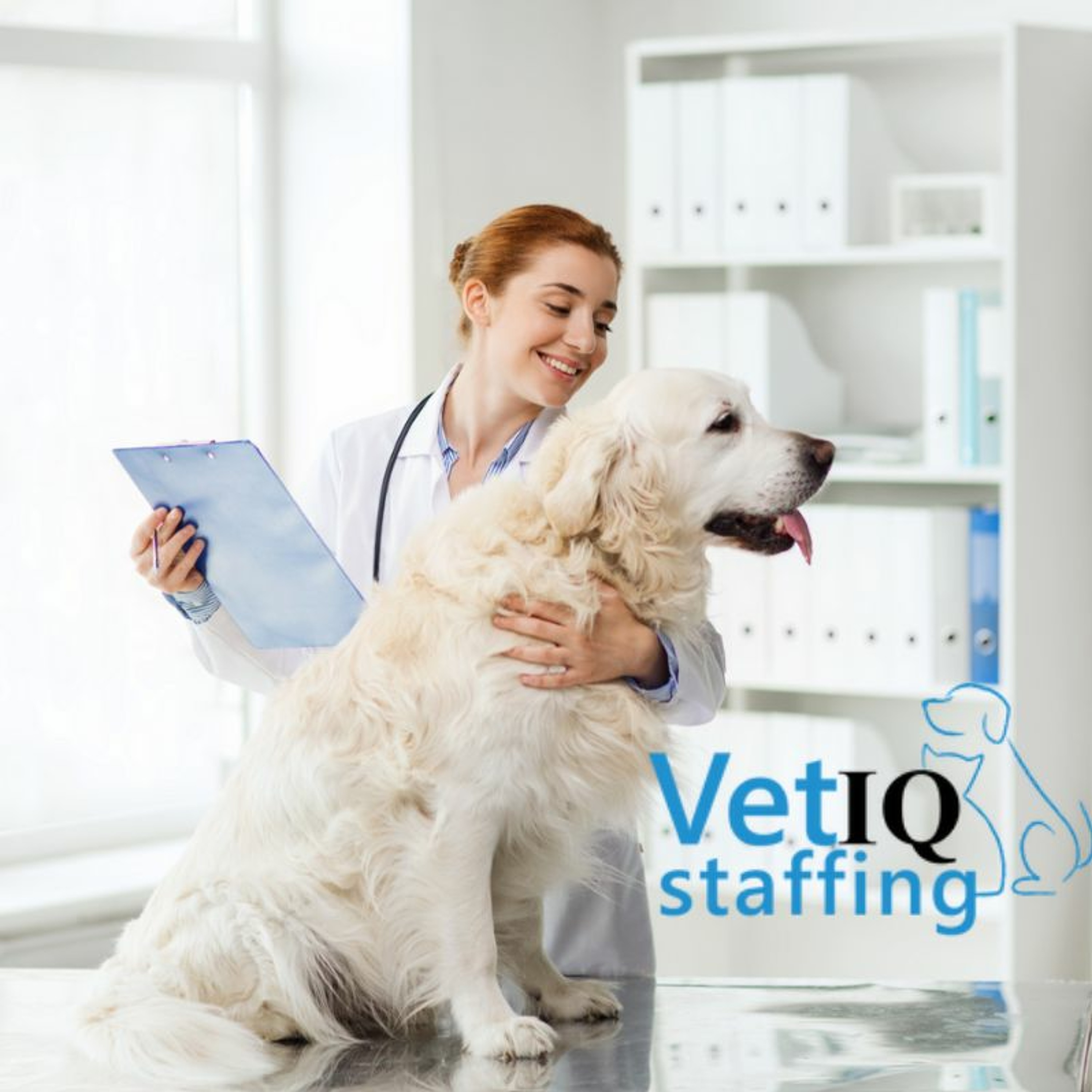 VetIQ Staffing