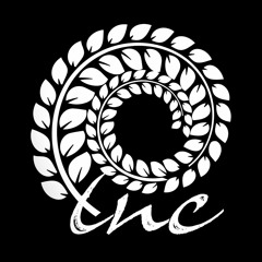Tonciu X Baza -  nic tu nie jest martwe