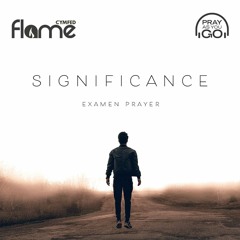 Significance Examen (Flame 2019)