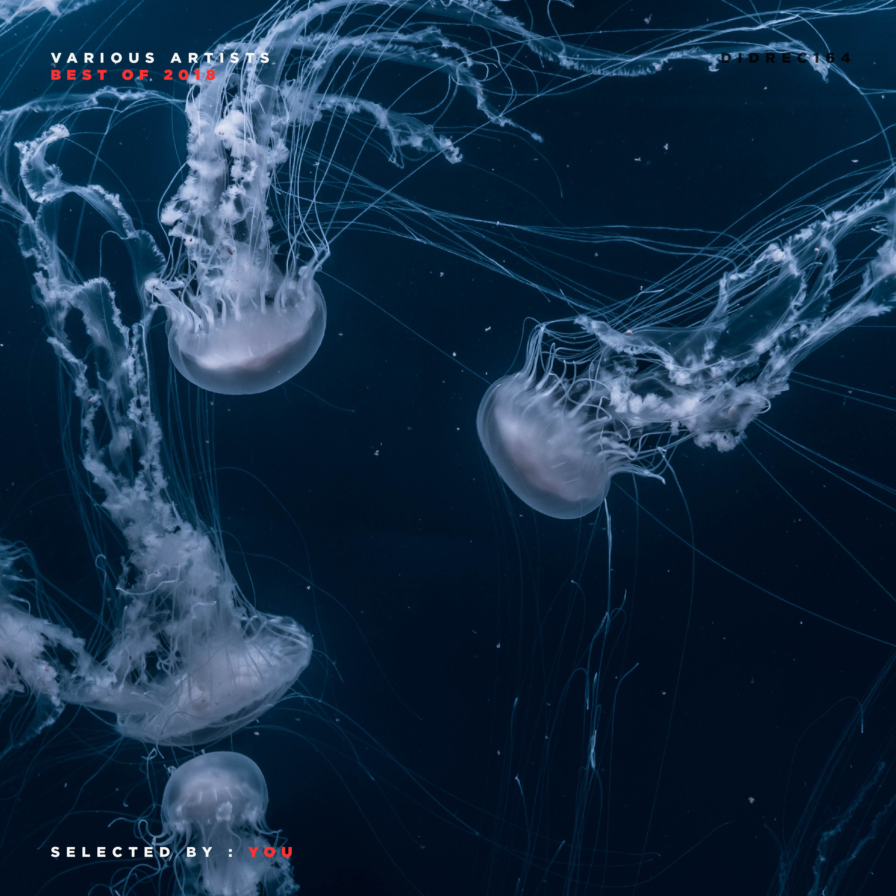 Different Is Different Records - Techno Back Catalogue