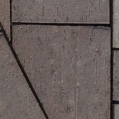 Tanze (2018) @ Surrey 13 Feb 2019