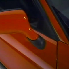 猫 シ Corp. - 100